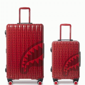 VENI VIDI VICI LUGGAGE