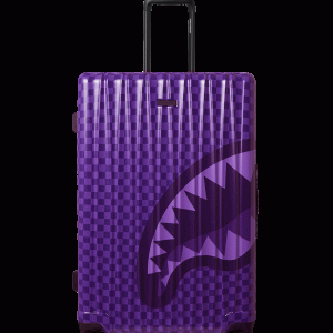 ALL SYSTEMS GO FULL-SIZE LUGGAGE